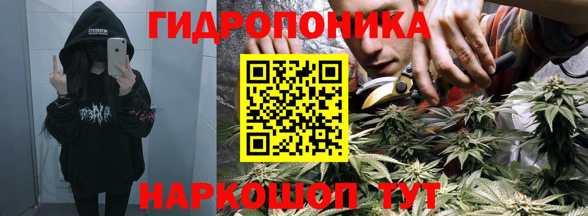 Шишки марихуана семена Чусовой
